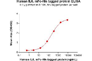 ELISA plate pre-coated by 1 μg/mL (100 μL/well) Human IL6R, hFc tagged protein  can bind Human IL6, mFc-His tagged protein (ABIN6961105) in a linear range of 14. (IL-6 Protein (mFc-His Tag))