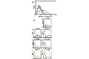 Specificity testing of GM8G5. (CEACAM1 antibody)