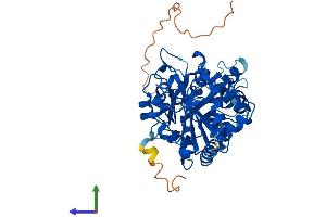 AlphaFold protein structure predicition of Mouse Recombinant B3glct Protein, UniprotID Q8BHT6