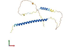 AlphaFold protein structure predicition of Mouse Recombinant Akirin2 Protein, UniprotID B1AXD8 (AKIRIN2 Protein (AA 1-201) (His tag))