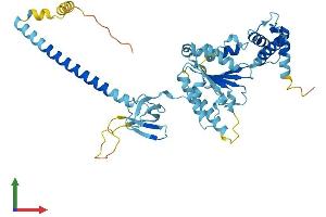 AlphaFold protein structure predicition of Human Recombinant PSMC3 Protein, UniprotID P17980 (PSMC3 Protein (AA 1-439) (His tag))