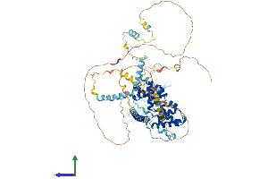 AlphaFold protein structure predicition of Human Recombinant BRF1 Protein, UniprotID Q92994