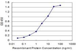 Detection limit for recombinant GST tagged HTR2C is approximately 0. (HTR2C antibody  (AA 1-52))