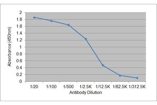 Cortisol antibody