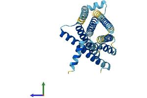 AlphaFold protein structure predicition of Mouse Recombinant Tas2r105 Protein, UniprotID Q9JKT4 (TAS2R105 Protein (AA 1-300) (His tag))