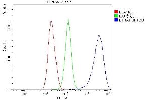 Flow Cytometry analysis of HepG2 cells using anti-EIF4A1 antibody (ABIN7603125). (EIF4A1 antibody  (N-Term))