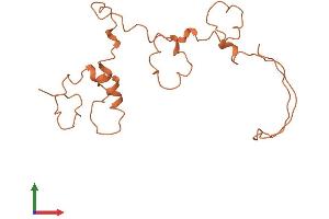 AlphaFold protein structure predicition of Human Recombinant KRTAP4-8 Protein, UniprotID Q9BYQ9 (KRTAP4-8 Protein (AA 1-185) (His tag))