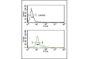 Flow cytometry analysis of K562 cells (bottom histogram) compared to a negative control cell (top histogram). (PCSK2 antibody  (AA 318-346))