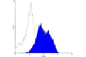 ABIN118800 staining of MOLT4 cell line. (Transferrin Receptor antibody  (FITC))