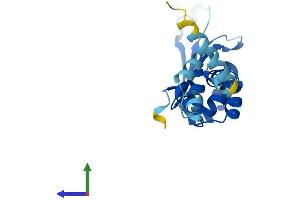 AlphaFold protein structure predicition of Human Recombinant FBXO36 Protein, UniprotID Q8NEA4 (FBXO36 Protein (AA 1-188) (His tag))