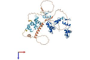 AlphaFold protein structure predicition of Human Recombinant ZSCAN30 Protein, UniprotID Q86W11 (ZNF446 Protein (AA 1-494) (His tag))