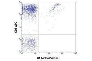 Flow Cytometry (FACS) image for anti-T-Cell Receptor gamma/delta (TCR gamma/delta) antibody (Biotin) (ABIN2661293) (TCR gamma/delta antibody  (Biotin))