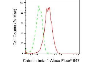 Flow cytometric analysis of Catenin beta 1 expression in HAP-1 cells using Catenin beta 1 antibody (ABIN7797929), 1:2,000). (CTNNB1 antibody)
