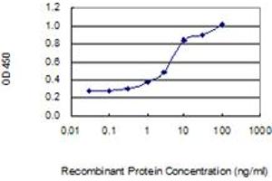 Detection limit for recombinant GST tagged PLA2G2A is 0. (PLA2G2A antibody  (AA 1-144))