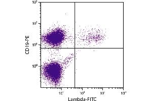 BALB/c mouse splenocytes were stained with Goat Anti-Mouse Lambda-FITC. (Goat anti-Mouse Ig (Chain kappa) Antibody (FITC))