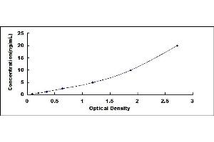 Typical standard curve (PRMT1 ELISA Kit)