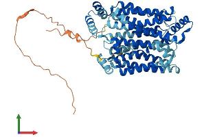 AlphaFold protein structure predicition of Human Recombinant SLC2A9 Protein, UniprotID Q9NRM0