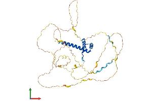 AlphaFold protein structure predicition of Mouse Recombinant Hoxa10 Protein, UniprotID P31310 (HOXA10 Protein (AA 1-416) (His tag))