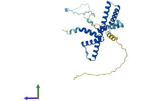 Protein Structure (PS) image for Ribosomal RNA Processing 36 Homolog (RRP36) (AA 1-259) protein (His tag) (ABIN7551539)