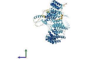 AlphaFold protein structure predicition of Mouse Recombinant Prpf6 Protein, UniprotID Q91YR7 (PRP6/ANT-1 Protein (AA 1-941) (His tag))