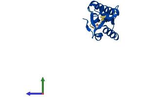 AlphaFold protein structure predicition of Mouse Recombinant Ptrhd1 Protein, UniprotID D3Z4S3 (PTRHD1 Protein (AA 1-140) (His tag))