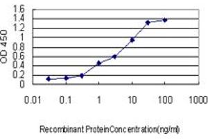 ELISA image for anti-Calcium Activated Nucleotidase 1 (CANT1) (AA 302-401) antibody (ABIN566779)