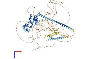 AlphaFold protein structure predicition of Mouse Recombinant Akap17b Protein, UniprotID A2A3V1 (AKAP17B Protein (AA 1-959) (His tag))