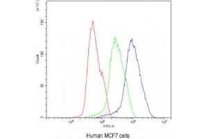 Flow Cytometry (FACS) image for anti-BCL2-Interacting Killer (Apoptosis-Inducing) (BIK) (AA 1-123) antibody (ABIN4950330)