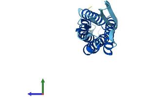 AlphaFold protein structure predicition of Human Recombinant EMP3 Protein, UniprotID P54852 (EMP3 Protein (AA 1-163) (His tag))