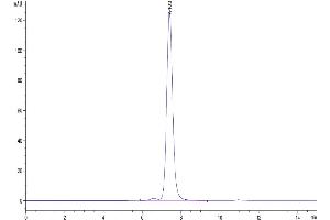 The purity of Mouse Neuropilin-2 is greater than 95 % as determined by SEC-HPLC. (NRP2 Protein (AA 23-859) (His tag))