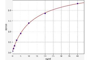 Typical standard curve (GCK ELISA Kit)