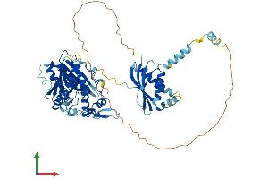 AlphaFold protein structure predicition of Mouse Recombinant Mettl16 Protein, UniprotID Q9CQG2