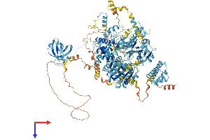 AlphaFold protein structure predicition of Human Recombinant DHX8 Protein, UniprotID Q14562 (DHX8 Protein (AA 1-1220) (His tag))