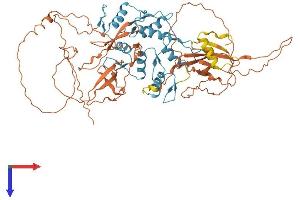 AlphaFold protein structure predicition of Human Recombinant ZNF143 Protein, UniprotID P52747 (ZNF143 Protein (AA 1-638) (His tag))