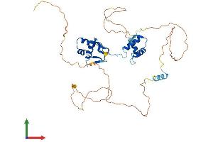 Protein Structure (PS) image for Paired Box Gene 2a (PAX2A) (AA 1-414) protein (His tag) (ABIN7563128)