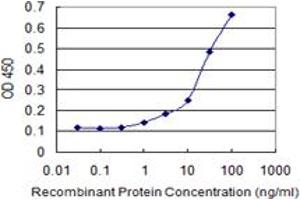 Detection limit for recombinant GST tagged CHD1 is 0. (CHD1 antibody  (AA 1177-1272))
