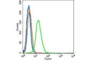 Human A549 probed with TTF1 Polyclonal Antibody, Unconjugated  (green) at 1:100 for 30 minutes followed by a PE conjugated secondary antibody compared to unstained cells (blue), secondary only (light blue), and isotype control (orange). (TTF1 antibody  (AA 201-300))