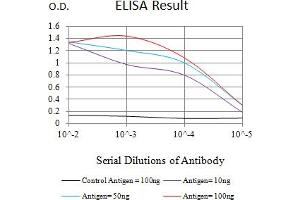 Black line: Control Antigen (100 ng),Purple line: Antigen (10 ng), Blue line: Antigen (50 ng), Red line:Antigen (100 ng) (CD131 antibody  (AA 17-149))