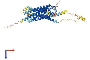 G Protein-Coupled Receptor 27 (GPR27) (AA 1-379) protein (His tag)
