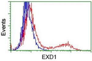 HEK293T cells transfected with either RC206223 overexpress plasmid (Red) or empty vector control plasmid (Blue) were immunostained by anti-EXD1 antibody (ABIN2454018), and then analyzed by flow cytometry. (EXD1 antibody)