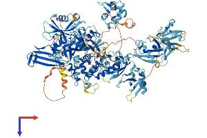AlphaFold protein structure predicition of Human Recombinant USP40 Protein, UniprotID Q9NVE5 (USP40 Protein (AA 1-1235) (His tag))