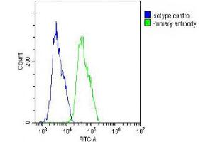 Flow Cytometry (FACS) image for anti-Wingless-Type MMTV Integration Site Family, Member 4 (WNT4) (AA 211-239) antibody (ABIN652224)