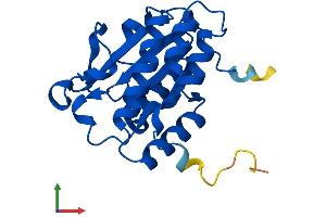 AlphaFold protein structure predicition of Mouse Recombinant Isoc2a Protein, UniprotID P85094 (Isoc2a Protein (AA 1-206) (His tag))