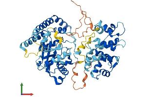 AlphaFold protein structure predicition of Mouse Recombinant Lpcat1 Protein, UniprotID Q3TFD2