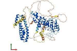 AlphaFold protein structure predicition of Mouse Recombinant Fbxl5 Protein, UniprotID Q8C2S5 (FBXL5 Protein (AA 1-690) (His tag))