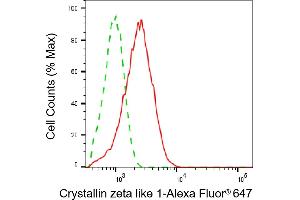 Flow cytometric analysis of Crystallin zeta like 1 expression in HeLa cells using Crystallin zeta like 1 antibody (ABIN7798170), 1:1,000). (CRYZL1 antibody)