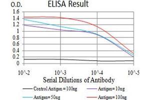 Black line: Control Antigen (100 ng), Purple line: Antigen(10 ng), Blue line: Antigen (50 ng), Red line: Antigen (100 ng), (KLF6 antibody  (AA 71-283))