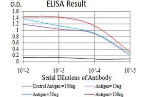 Black line: Control Antigen (100 ng), Purple line: Antigen(10 ng), Blue line: Antigen (50 ng), Red line: Antigen (100 ng), (KLF6 antibody  (AA 71-283))