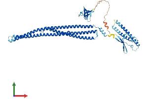 AlphaFold protein structure predicition of Human Recombinant NOSTRIN Protein, UniprotID Q8IVI9