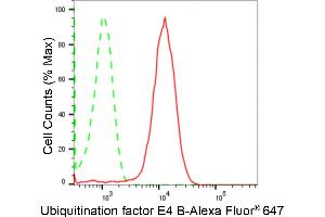 Flow cytometric analysis of Ubiquitination factor E4 B expression in HepG2 cells using Ubiquitination factor E4 B antibody (ABIN7800713), 1:2,000). (Recombinant UBE4B antibody)